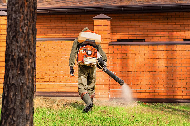 Trusted Termite Control service in Leesburg, GA - Nex Pest Control